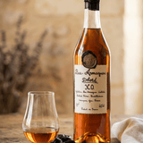 Delord XO 10 years Bas Armagnac 40% 700ml | Armagnac | Shop online at Spirits of France