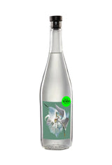 Mezcal Verde Momento 42% 700ml | Tequila | Shop online at Spirits of France