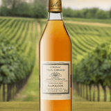 Paul Giraud Cognac Napoleon 15 years Grande Champagne 40% 700ml | Cognac | Shop online at Spirits of France