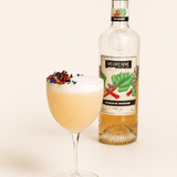 Rhubarb Sour Bundle | Cocktail Bundle | Shop online at Spirits of France